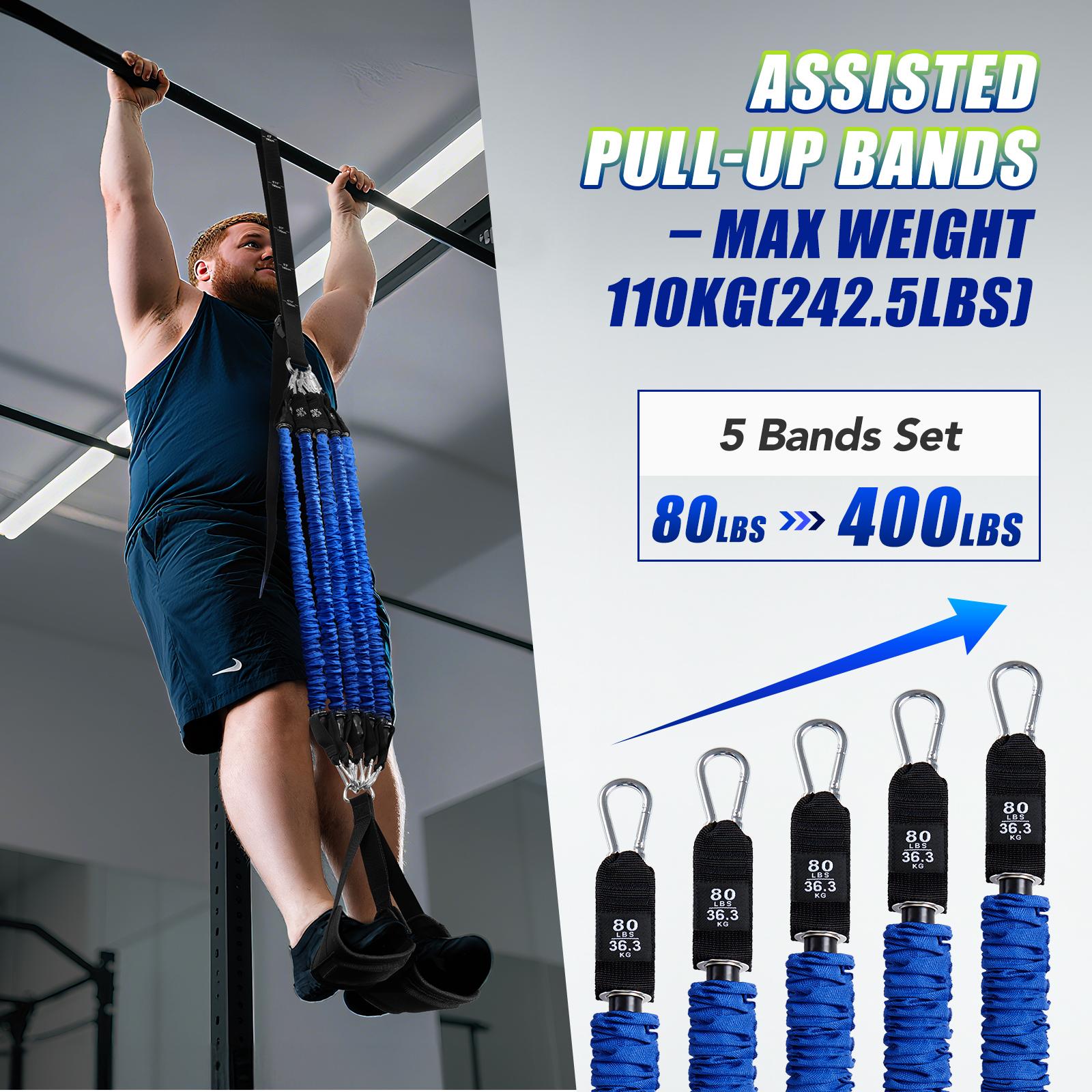 ヘビーデューティー懸垂補助バンドセット 4x80ポンド 調節 - Home Gym Setup のレビューと価格