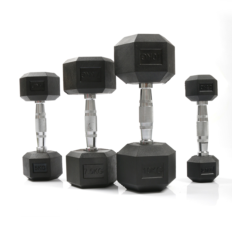 工場卸売カスタム耐久性ラバーコーティング六角ダンベル 重量器 - Home Gym Custom のレビューと価格